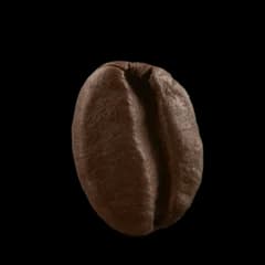 A coffee bean roasted to dark