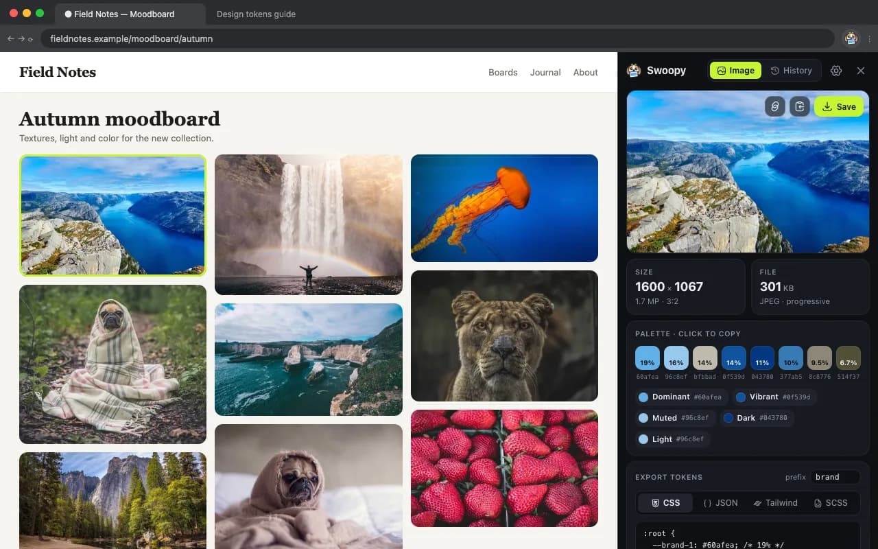 Swoopy's side panel showing a photo's palette, color roles, size and file details