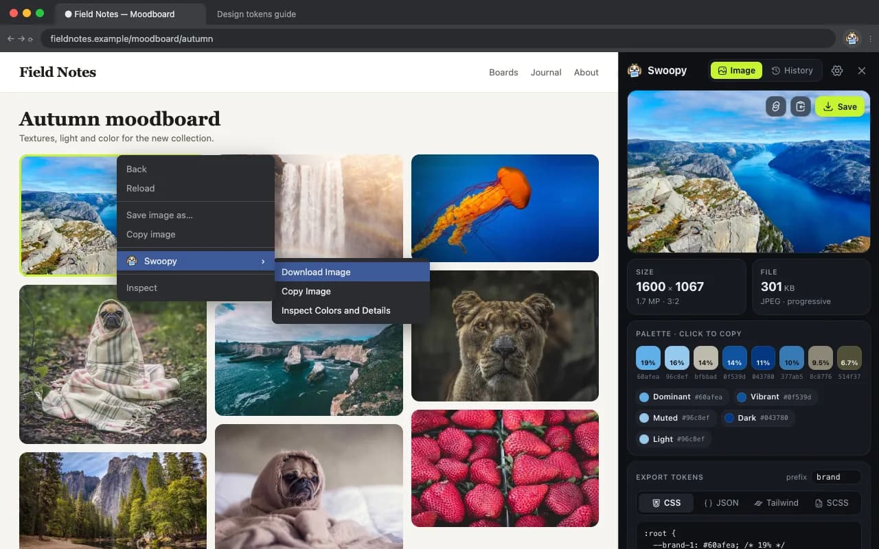 Right-clicking a photo shows Swoopy's menu: Download Image, Copy Image and Inspect Colors and Details, with the side panel open